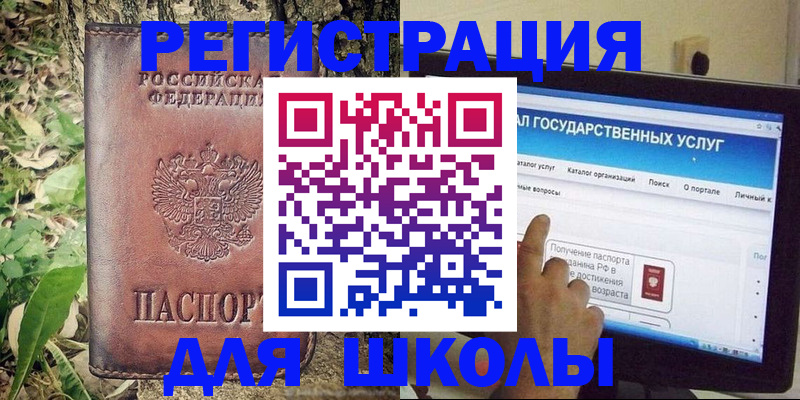 прописка для школы в Химках